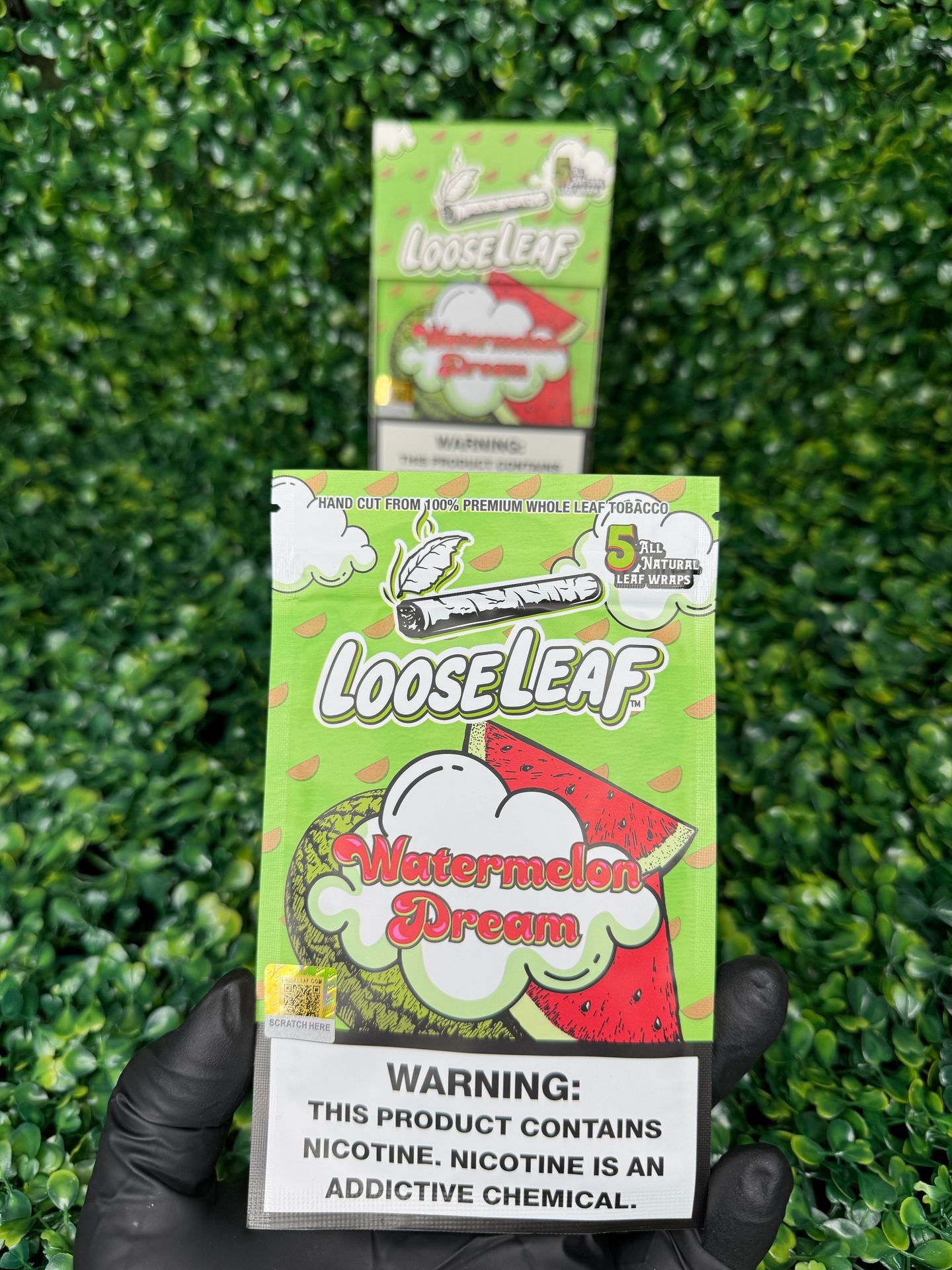 Watermelon Dream Loose leaf