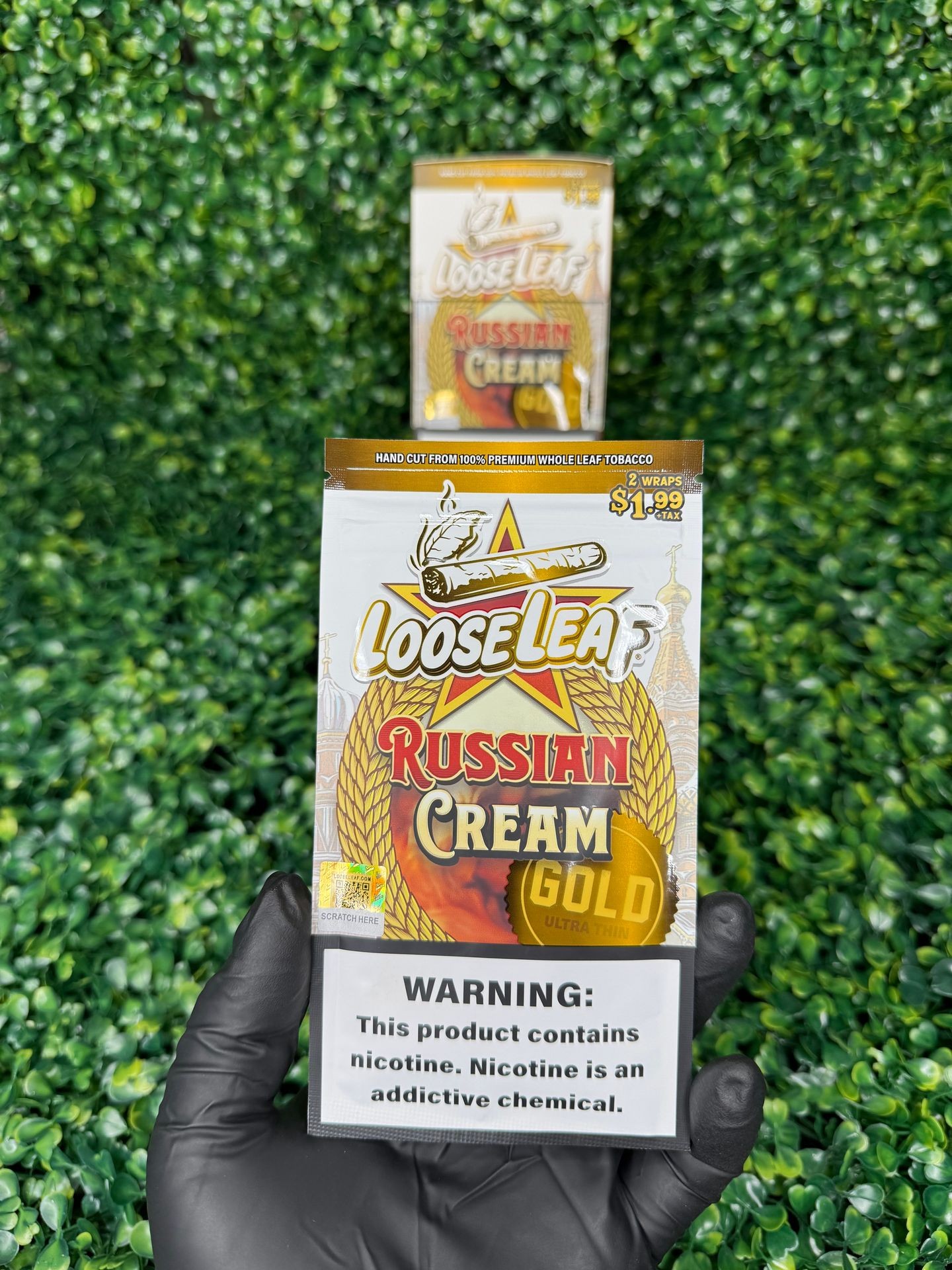 Russian cream Loose leaf