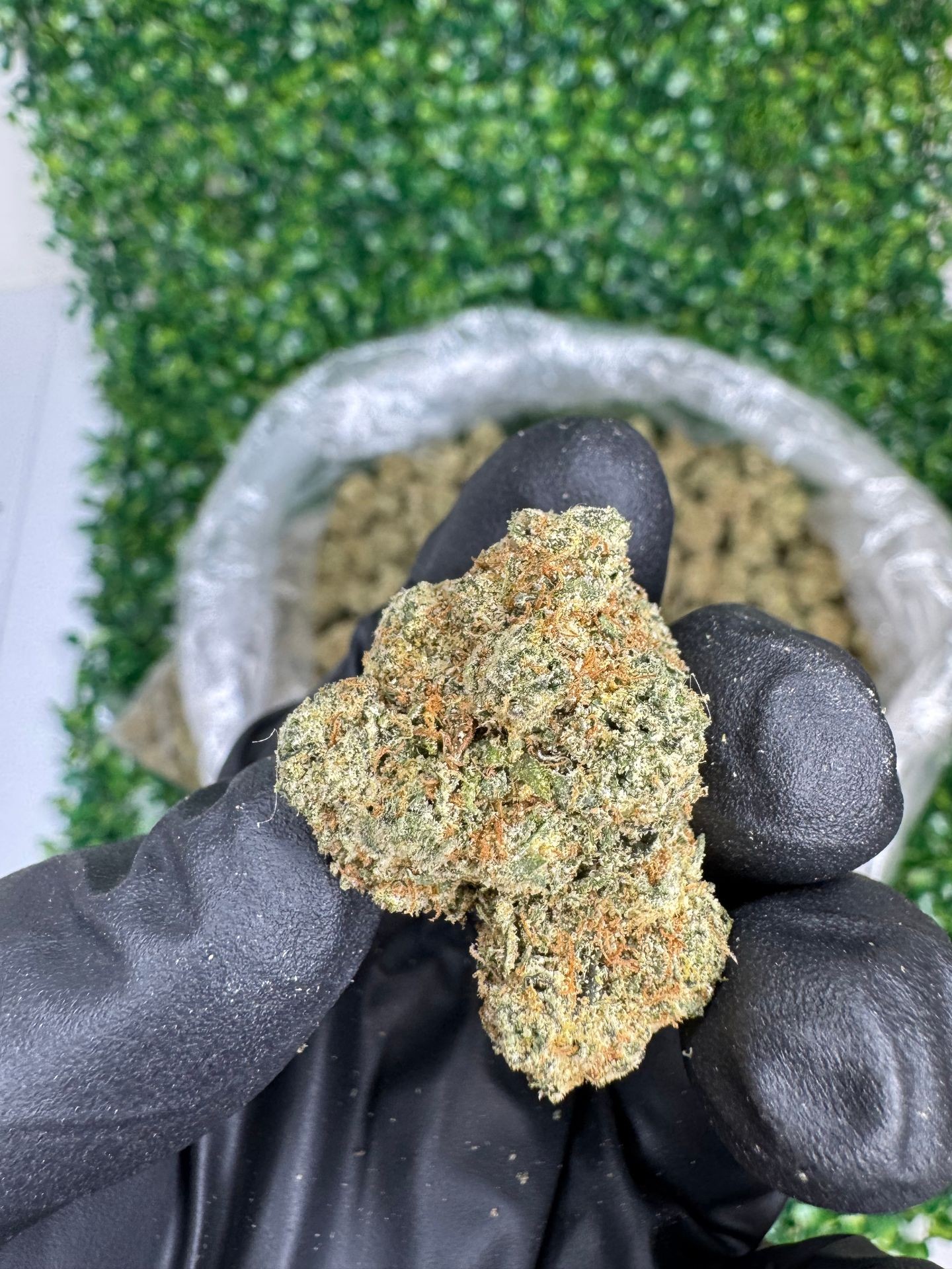 Jet Fuel Gelato ✈️ ⛽️ 🍧 