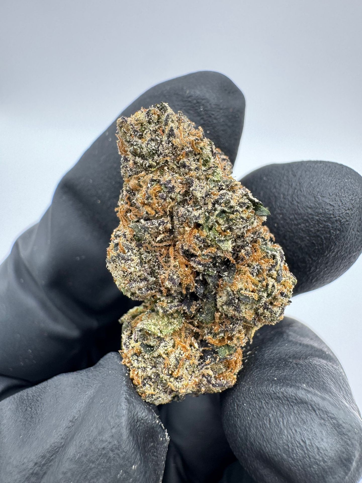 Purple gumbo 🍇 