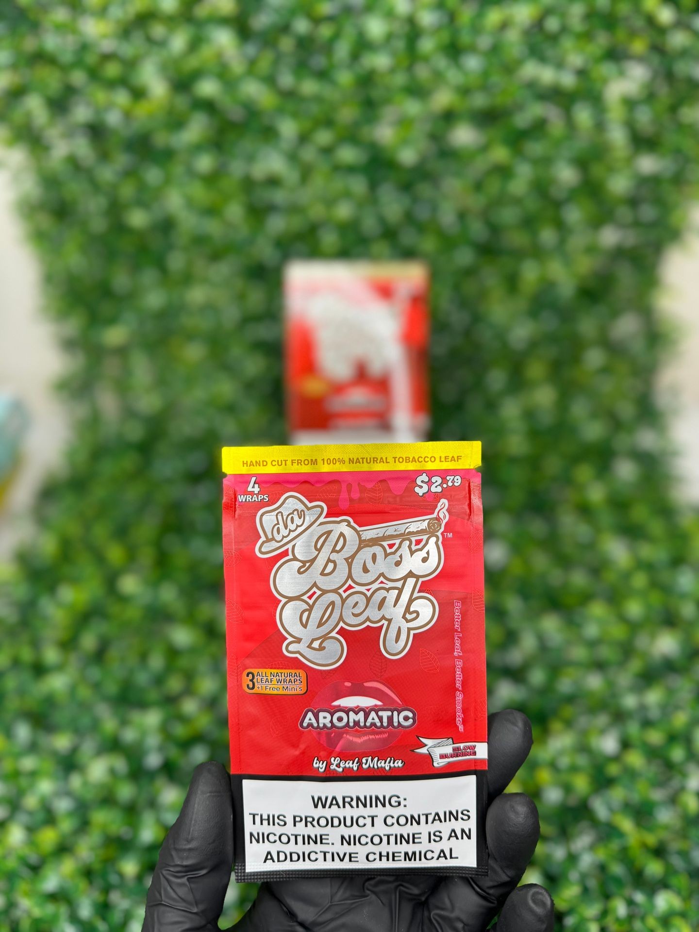 Aromatic Boss Leaf