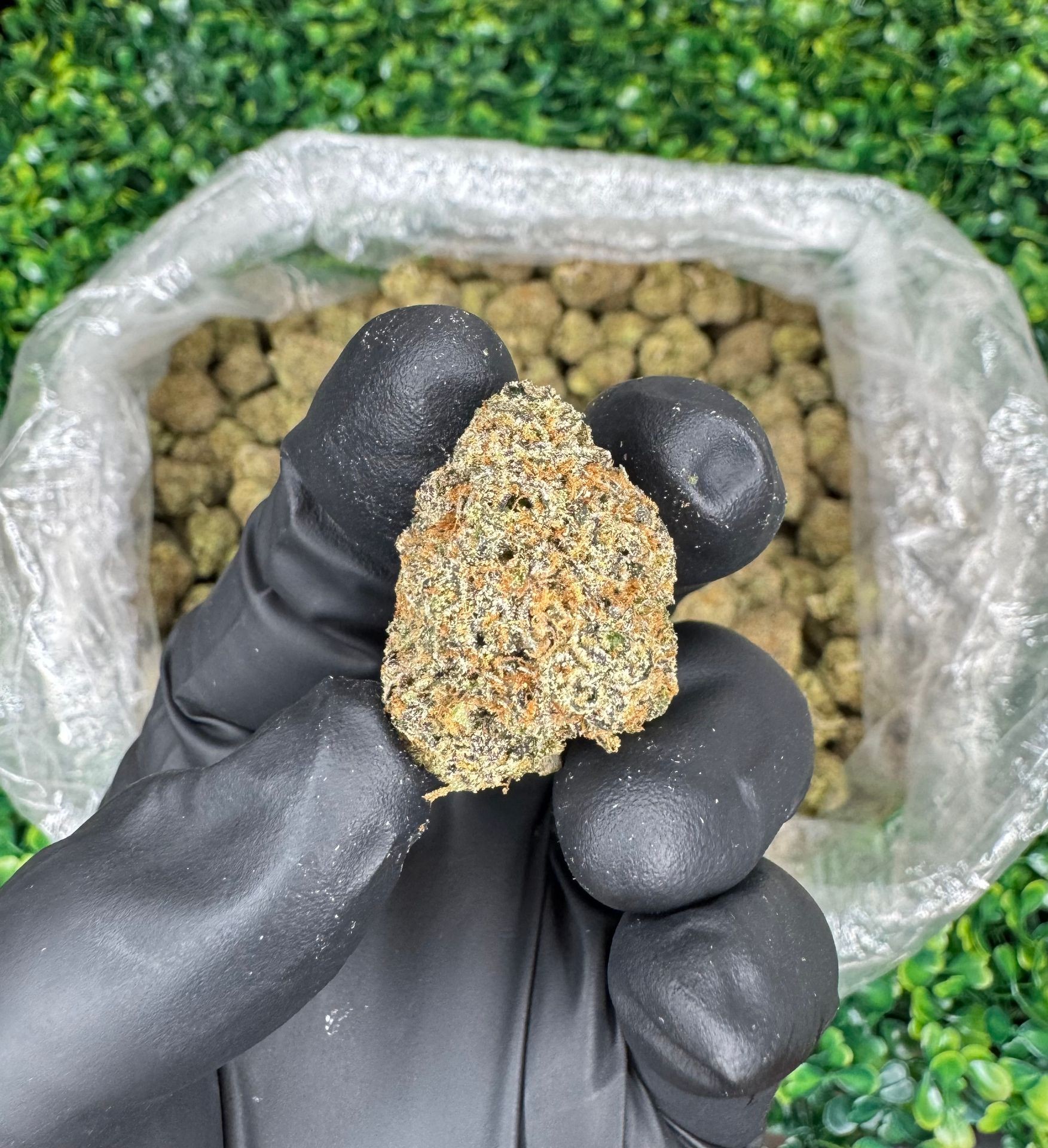Lemon cherry runtz