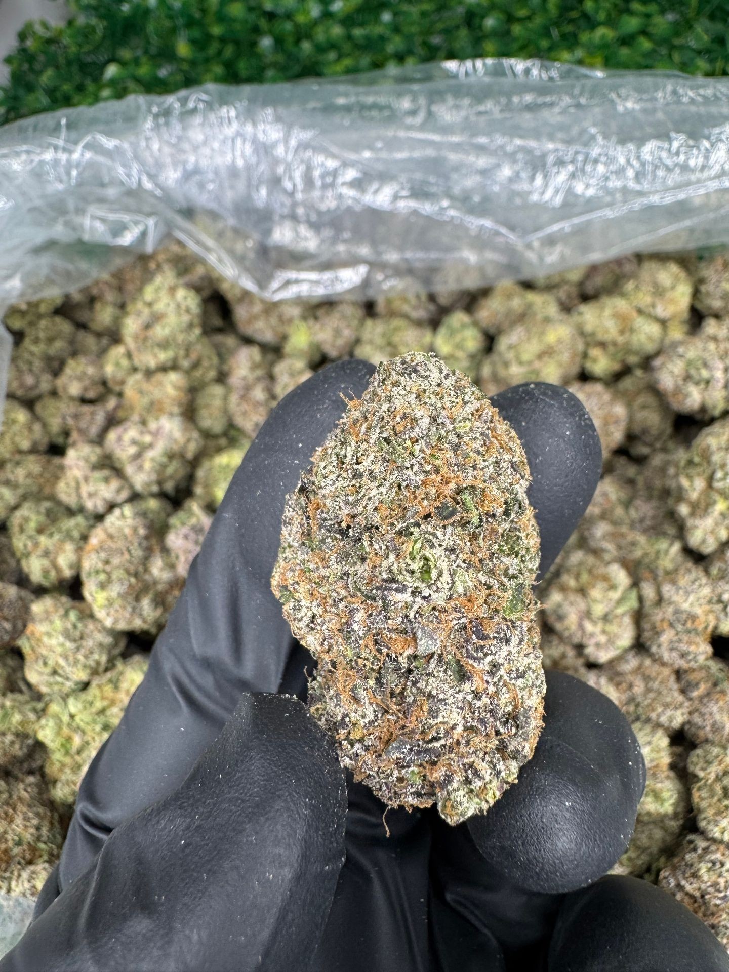 Cherry pie 🥧 🍒 