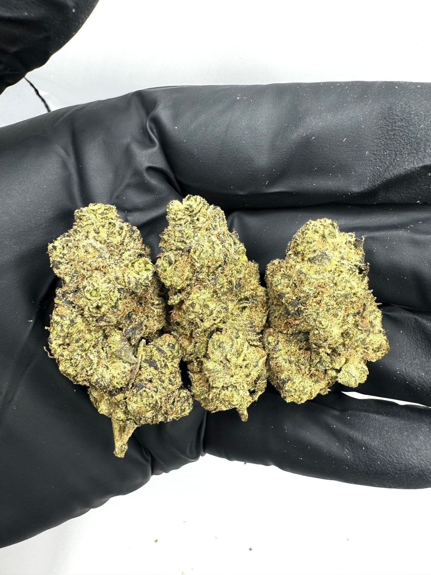 Lemon Haze