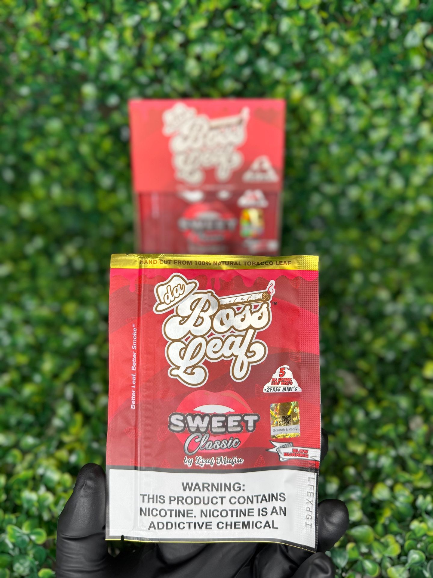 Sweet classic boss leaf 